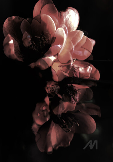 Prefab sprout #9 Photographie intitulée "Prefab sprout #9" par Hélène Tourbine, Œuvre d'art originale, Photographie manipulée