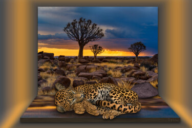 Artes digitais intitulada "Savane" por Rainbow, Obras de arte originais, Foto Montagem