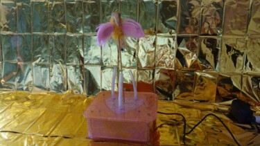 Sculpture titled "Pink Bee Bird 🐝" by Rainbow, Original Artwork, Acrylic