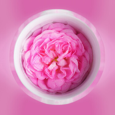 Digitale Kunst getiteld "Pink petals 🌸" door Rainbow, Origineel Kunstwerk, Foto Montage