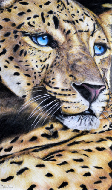 Dessin intitulée "Regard de léopard" par Hélène Roux, Œuvre d'art originale, Crayon