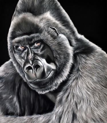 Dessin intitulée "Gorille des montagn…" par Hélène Roux, Œuvre d'art originale, Pastel