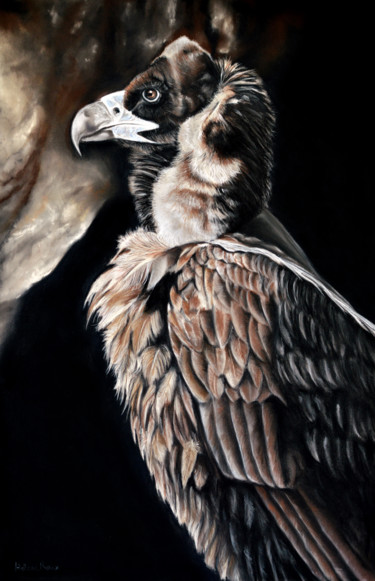 Peinture intitulée "Vautour Moine" par Hélène Roux, Œuvre d'art originale, Pastel