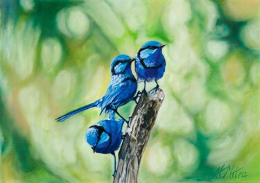 Painting titled "The Blue Fairy Wrens" by Helen Mitra, Original Artwork, Oil