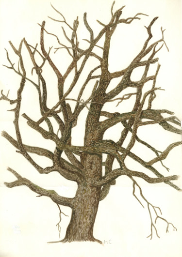 Peinture intitulée "le chêne fénéant" par Héloïse Chouard, Œuvre d'art originale, Aquarelle