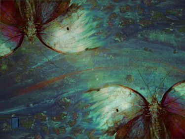 Arts numériques intitulée "Papillons 5 Butterf…" par Hélène Patris, Œuvre d'art originale, Peinture numérique