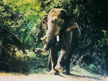 "Majesty on a Stroll" başlıklı Tablo Hemantha Warakapitiya tarafından, Orijinal sanat, Akrilik Ahşap Sedye çerçevesi üzerine…