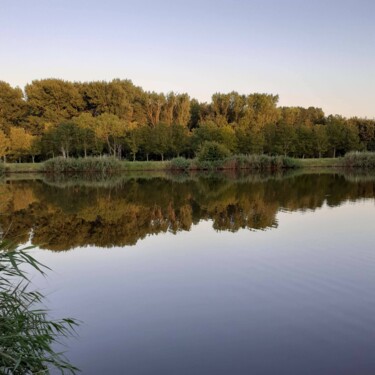 Fotografia zatytułowany „Summer in the Nethe…” autorstwa Henk Dekkers, Oryginalna praca, Fotografia cyfrowa