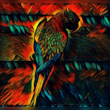 Digital Arts titled "Parrot bird" by Henk Dekkers, Original Artwork, Photo Montage