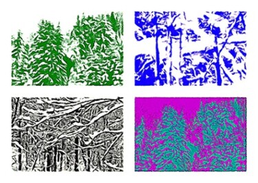 Arts numériques intitulée "Forest and trees in…" par Hénohut De Zhéry, Œuvre d'art originale, Travail numérique 2D