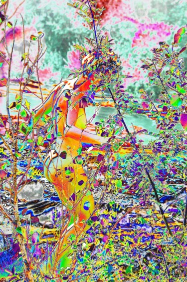 Arts numériques intitulée "PURE OSMOSE" par Henri Dubuc, Œuvre d'art originale, Photo montage