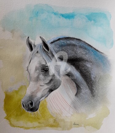 Dessin intitulée "Tête de cheval arab…" par Henri Ibara, Œuvre d'art originale, Crayon