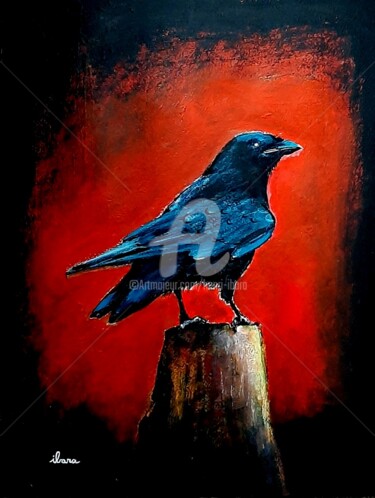 Crow Raven Scratchboard Art Original 