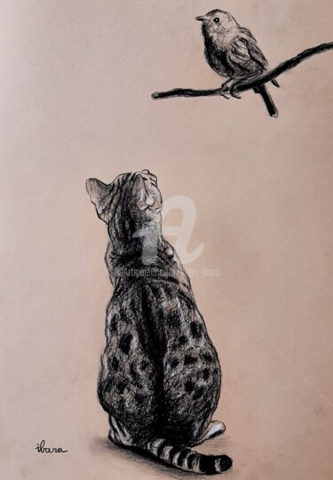 Disegno intitolato "Chat et oiseau" da Henri Ibara, Opera d'arte originale, Matita