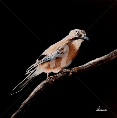 Painting titled "Oiseau N°13" by Henri Ibara, Original Artwork, Pastel