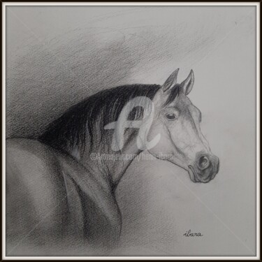 Рисунок под названием "Tête de cheval au c…" - Henri Ibara, Подлинное произведение искусства, Карандаш