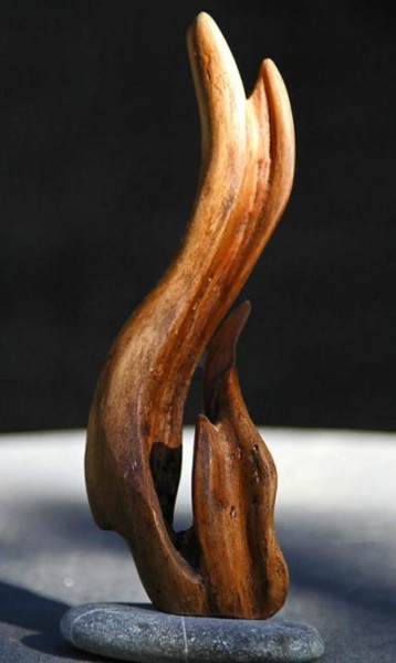 Skulptur mit dem Titel "Algues" von Henri Degracia, Original-Kunstwerk, Holz