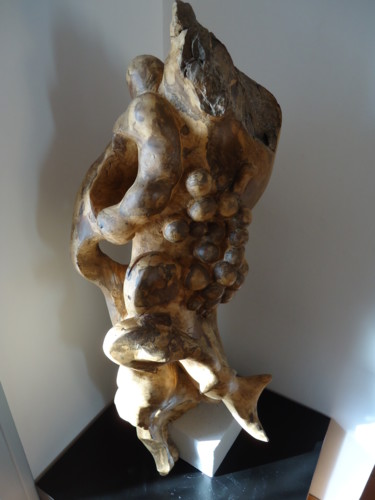 Skulptur mit dem Titel "dsc01546.jpg" von Henri Degracia, Original-Kunstwerk