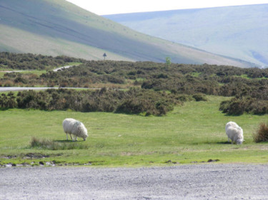 Photography titled "Sheep on Hay Bluff" by Henrietta, Original Artwork