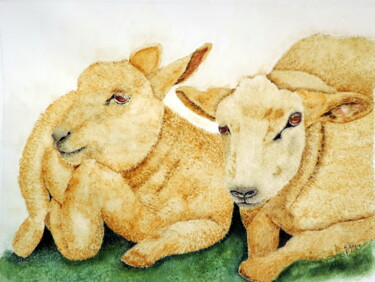 Peinture intitulée "Mouton" par Henriette André, Œuvre d'art originale, Aquarelle