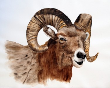 Peinture intitulée "Mouflon" par Henriette André, Œuvre d'art originale