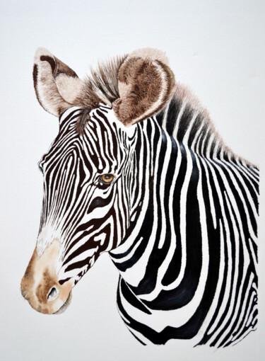 제목이 "zebre"인 미술작품 Henriette André로, 원작, 수채화