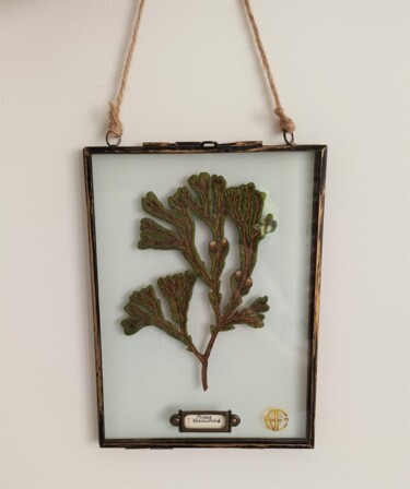Textile Art titled "Fucus Vésiculasus" by Heollene, Original Artwork, Embroidery Mounted on Glass