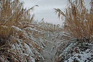 Photographie intitulée "Il neige sur les ro…" par Herve Bussy (Diaph), Œuvre d'art originale, Photographie numérique
