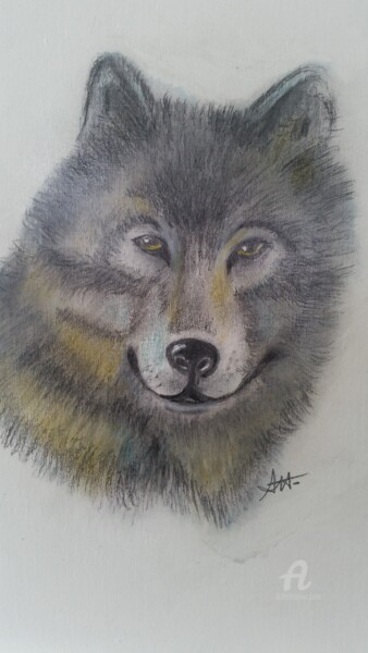 Dessin intitulée "Loup" par Hervé François Aury (Harris Aurigan (alias)), Œuvre d'art originale, Pastel