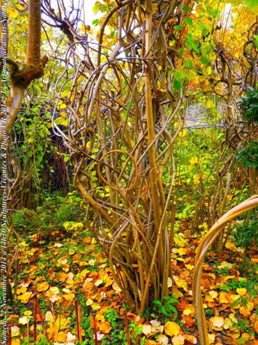 Sculptuur getiteld "*" door Hervé Morlay, Origineel Kunstwerk, Hout