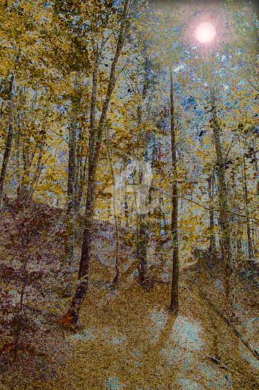 摄影 标题为“Autumn” 由Hervé Valez, 原创艺术品, 操纵摄影 安装在铝上