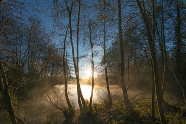 Fotografia zatytułowany „Morning” autorstwa Hervé Valez, Oryginalna praca, Fotografia cyfrowa