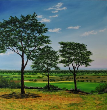 Peinture intitulée "Cheshire Plains" par Hazel Thomson, Œuvre d'art originale, Huile