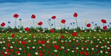 Painting titled "Summer Meadow" by Hazel Thomson, Original Artwork, Oil Mounted on Wood Stretcher frame
