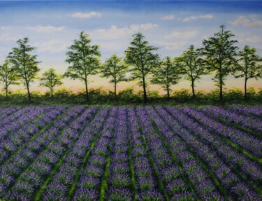 Картина под названием "Lavender Feild at D…" - Hazel Thomson, Подлинное произведение искусства, Масло Установлен на Деревянн…