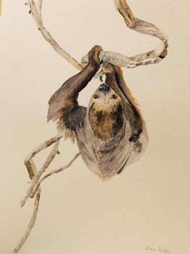 Pintura intitulada "Sloth" por Helen Hobbs, Obras de arte originais, Aquarela Montado em Cartão