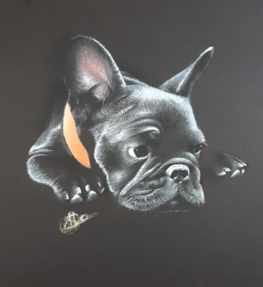Drawing titled "petit chien" by Serge Hidalgo, Original Artwork, Pencil