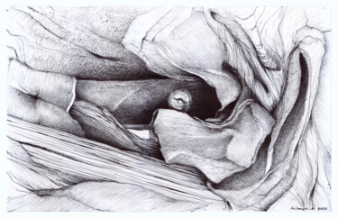 Рисунок под названием "Black to White #1" - Hilman Hendarsyah, Подлинное произведение искусства, Шариковая ручка