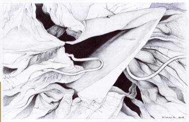 Desenho intitulada "Black to White #10" por Hilman Hendarsyah, Obras de arte originais, Canetac de aerossol