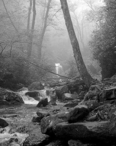Photography titled "Grotto Falls Mist B…" by Hinsel Scott, Original Artwork