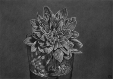 SL001 Drawing titled "SL001" by Hiperblackart, Original Art, Pencil