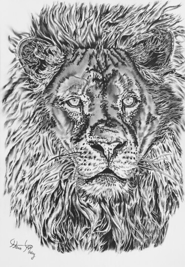 Rysunek zatytułowany „Original lion drawi…” autorstwa Hiten Mistry, Oryginalna praca, Grafit