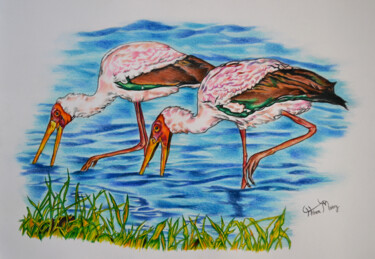 Рисунок под названием "yellow-billed storks" - Hiten Mistry, Подлинное произведение искусства, Карандаш