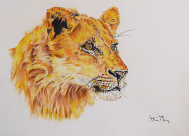 Рисунок под названием "lioness" - Hiten Mistry, Подлинное произведение искусства, Карандаш