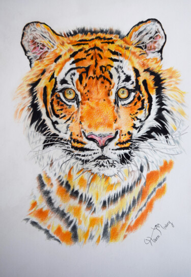 Рисунок под названием "male tiger portrait" - Hiten Mistry, Подлинное произведение искусства, Карандаш