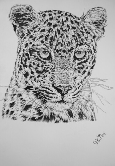 Drawing titled "leopard art" by Hiten Mistry, Original Artwork, Graphite