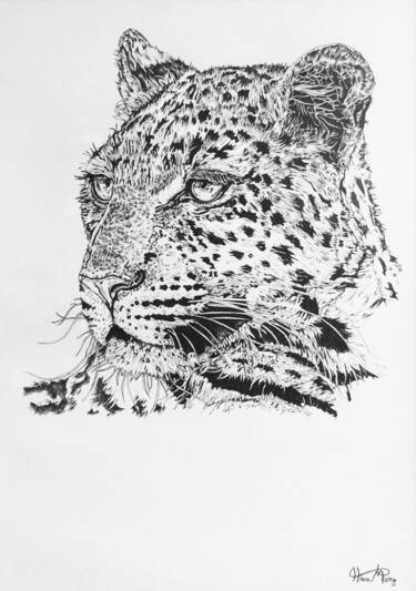 Zeichnungen mit dem Titel "leopard portrait" von Hiten Mistry, Original-Kunstwerk, Kugelschreiber