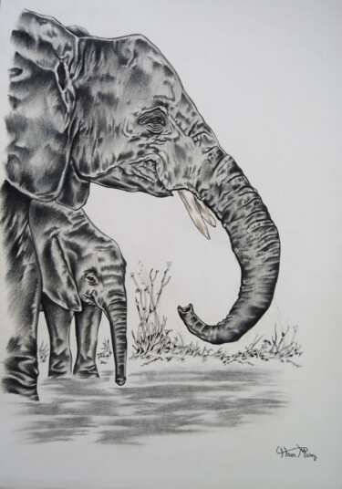 Drawing titled "side by side" by Hiten Mistry, Original Artwork, Other