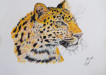 Disegno intitolato "leopard drawing" da Hiten Mistry, Opera d'arte originale, Altro