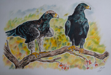 Drawing titled "Black eagles" by Hiten Mistry, Original Artwork, Other